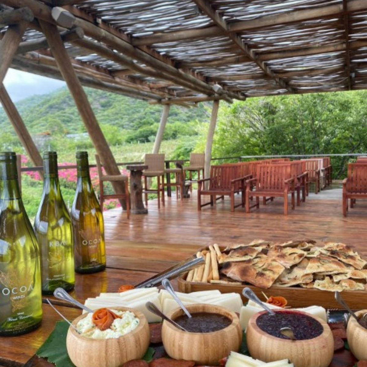 Experiencia Completa OcoaBay, Rep. Dominicana (Tour completo + Casa Club)