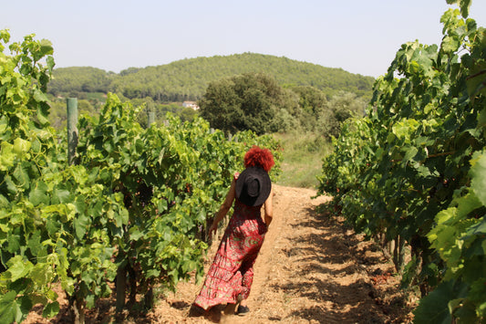 Catalunya, destino de enoturismo de alto valor