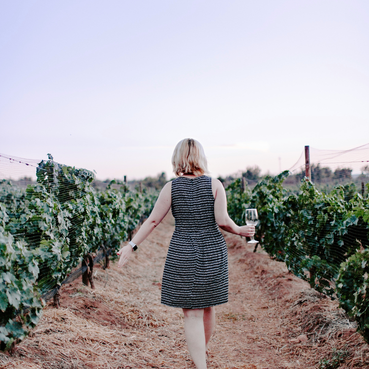 Enoturismo | Visitas a bodegas