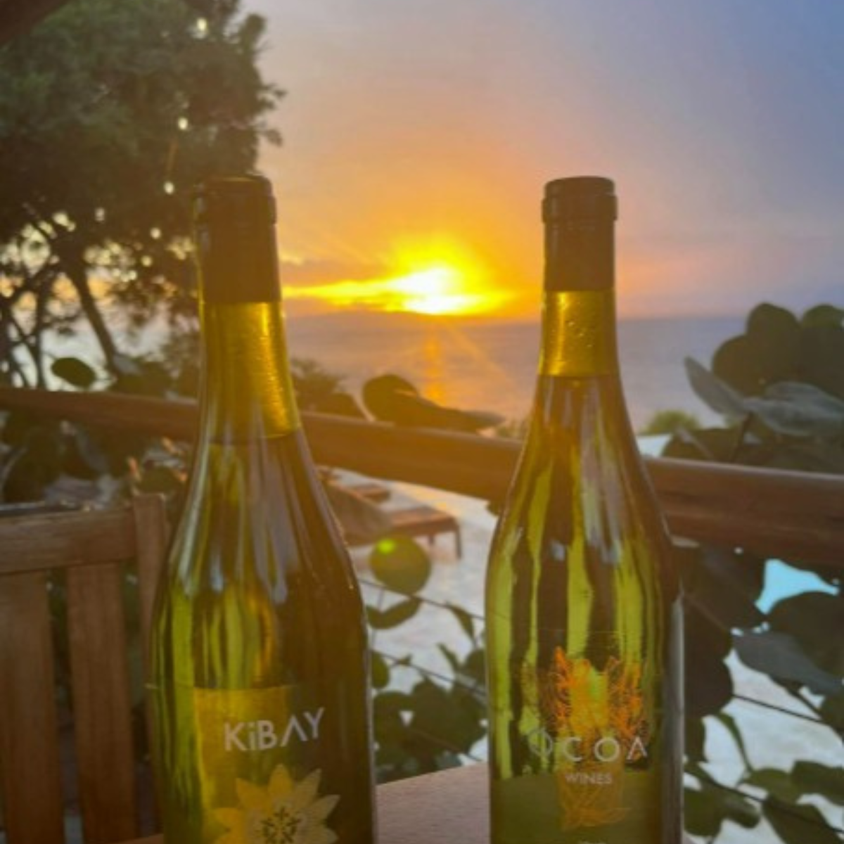 Experiencia Completa OcoaBay, Rep. Dominicana (Tour completo + Casa Club)