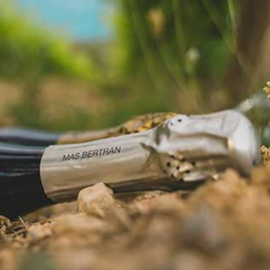 Visita a bodega + Cata Corpinnat - El Penedés