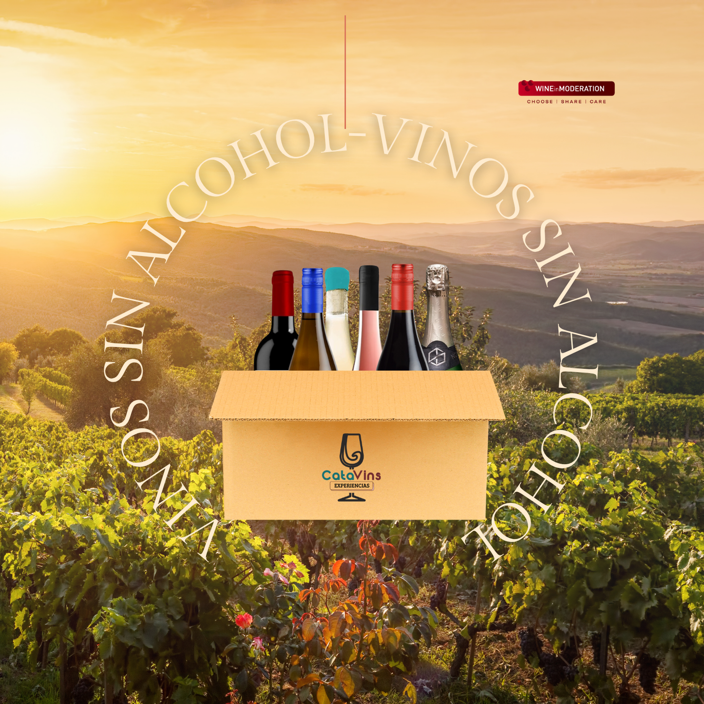 Wine Box- Vinos Sin Alcohol