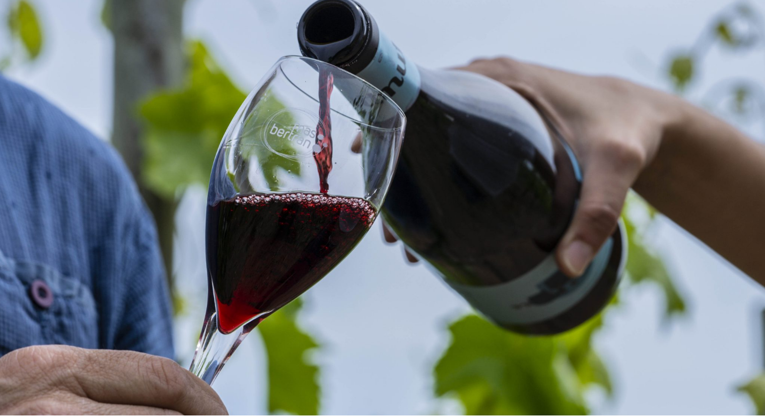 Visita a bodega + Cata 4 espumosos Corpinnat | DO El Penedés