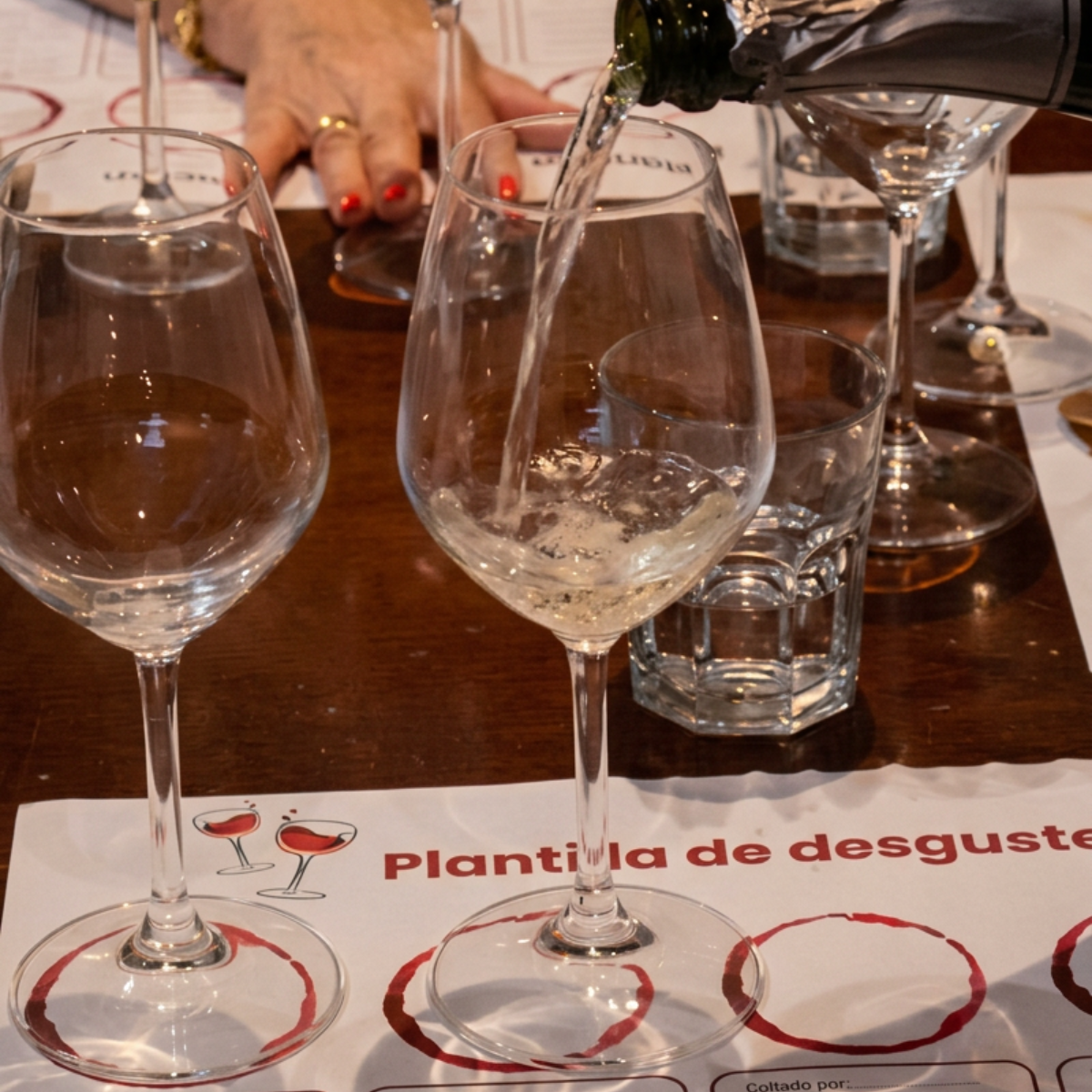 Cata guiada &  aperitivo local | Variedades autóctonas de Catalunya
