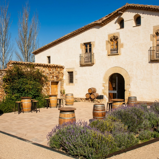 Barcelona | Visita la única bodega urbana en una masía del siglo XVI