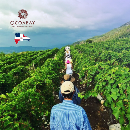 Experiencia Completa OcoaBay, Rep. Dominicana (Tour completo + Casa Club)